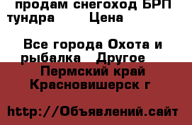 продам снегоход БРП тундра 550 › Цена ­ 450 000 - Все города Охота и рыбалка » Другое   . Пермский край,Красновишерск г.